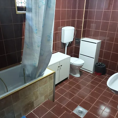 Milivojevic Guest house *