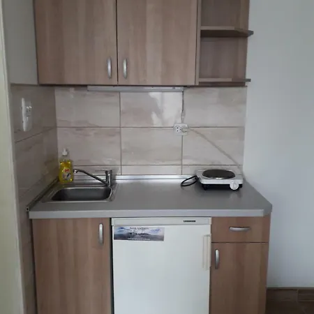 Milivojevic Soko Banja